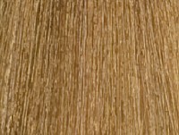 9,73 блондин бежево-золотистый 100