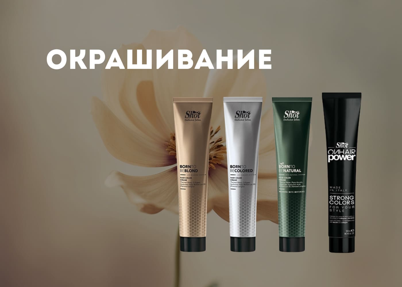 SHOT Окрашивание