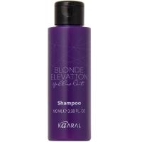 Шампунь д волос антижелтый Blond Elevation Shampoo 100мл