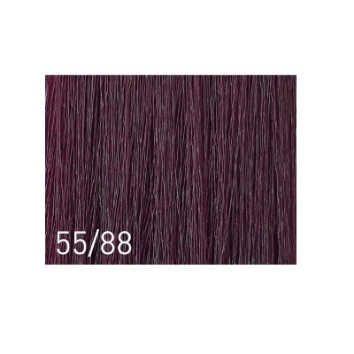 55,88 интенсивный фиолетовый каштан 60мл LISAP/Absolute