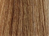 8,7 светлый блондин бежевый 100