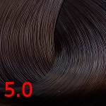 5,0 светый каштан