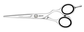 Ножницы JAGUAR 6,5* прямые Lumen